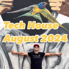 Tech_House_Mix_August_2024