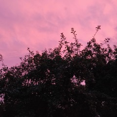 Pink Katana - Welt