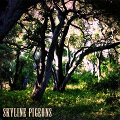 CONTACT FANTASY (ORIGINAL/STUDIO-DEMO - c.2010)