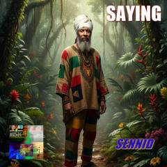 SENNID & JOSH GRENNAN BEATS MUSIC - SAYING