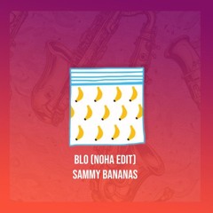 BLO (NOHA Edit) - Sammy Bananas