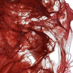 soul ties