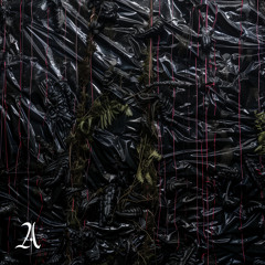 Aphid Midge (Antonio Ruscito)