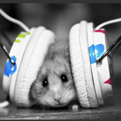 house tunes