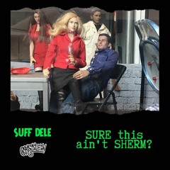 SURE this ain't SHERM? (SUFF DELE | C.R.I.S.T.E.N)