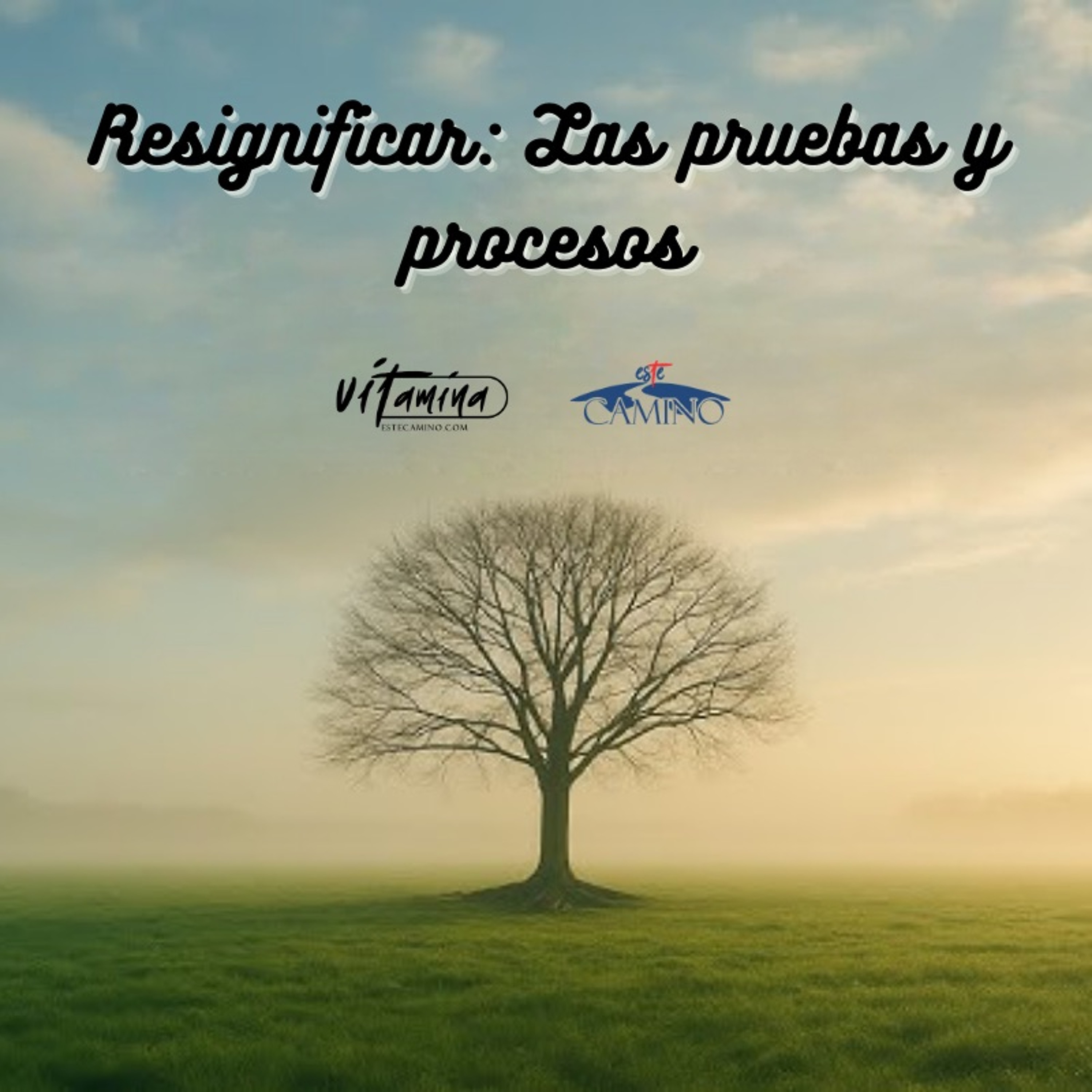 Resignificar y las pruebas y procesos 4de5, Emilia episode artwork