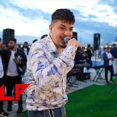 Bogdan DLP - Habibi 🎤 Live