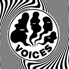 Voices Radio Show Feb 2023