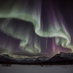 Borealis