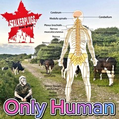 Only Human (prod. owen s)