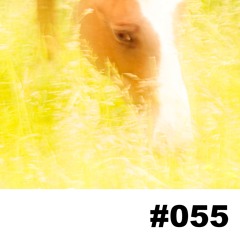 LAF Podcast #055 | The Slow Brown Fox