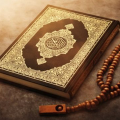 سورة النور عمار المهدي