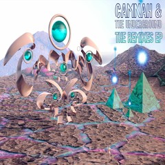 Camnah & Mar - Bozz (MEDIC Remix)