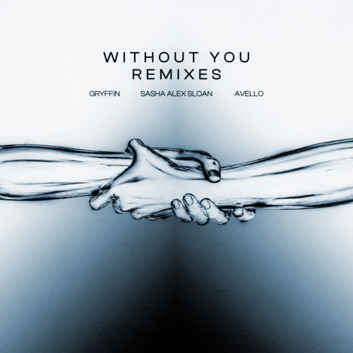 Without You (TOO BIASED Remix) [feat. Sasha Alex Sloan]
