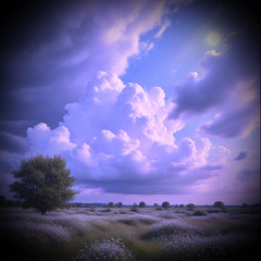 Towards The Clouds ....