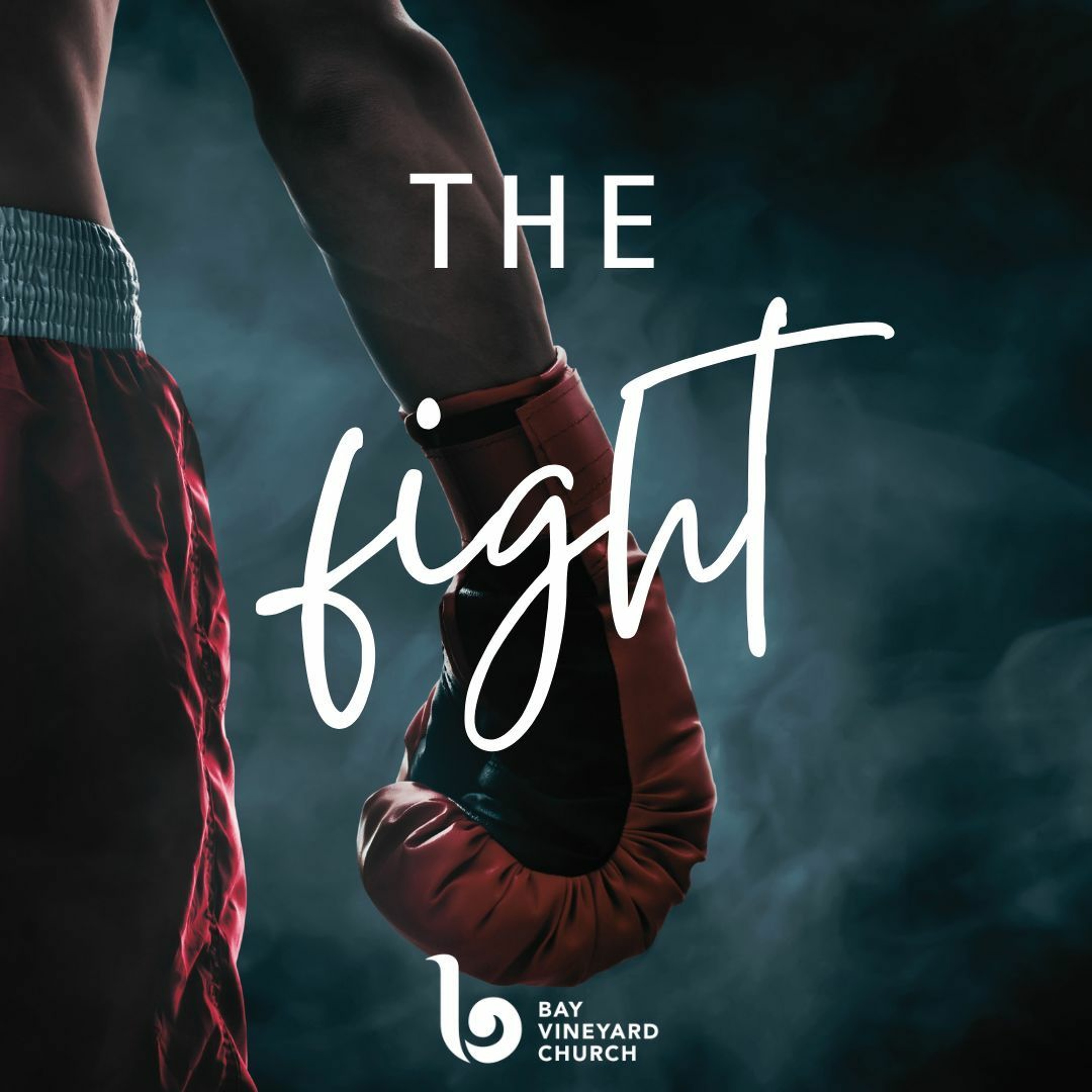 Sunday November 5th // The Fight - The World, The Flesh, The Devil episode artwork