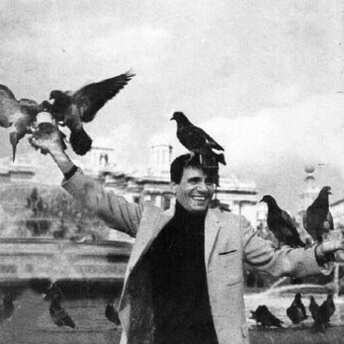 لا أنا قد الفرحه ديا وحلاوة الفرحة ديا | زي الهوى "مختصرة"