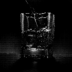 warm nights | cold patron