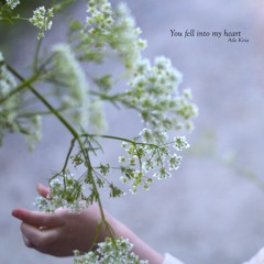 You Fell Into My Heart