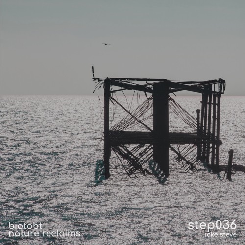 step 036 by icke steve