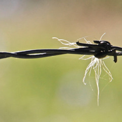 old stuff in a new container