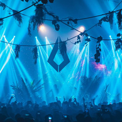 The Sound of Purified Records by Paul Shunt