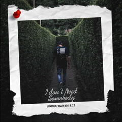 I Don't Need Somebody