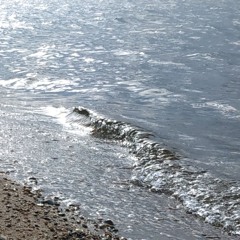 shore.