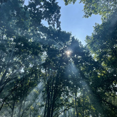 Blayzing Sun