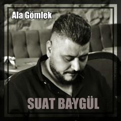 Ala Gömlek