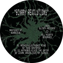 Binary Revolutions [GLSPV001]