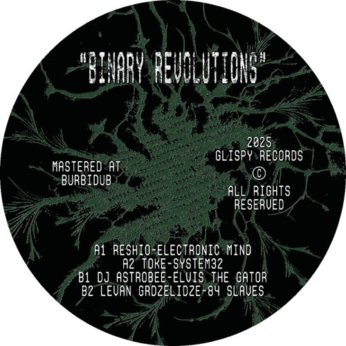 Binary Revolutions [GLSPV001]