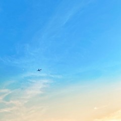 beautiful devastation