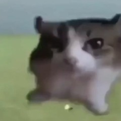 fucking bitch (bass boosted)