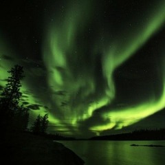 Sentenced "Fields of Blood, Harvester of Hate" (Cover)