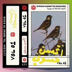 Syrian Cassette Archives 031224