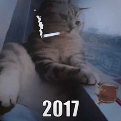 oстался я 2017