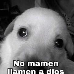 THOD OverkillThe House Of The Dead Main Theme (Vocal).mp3