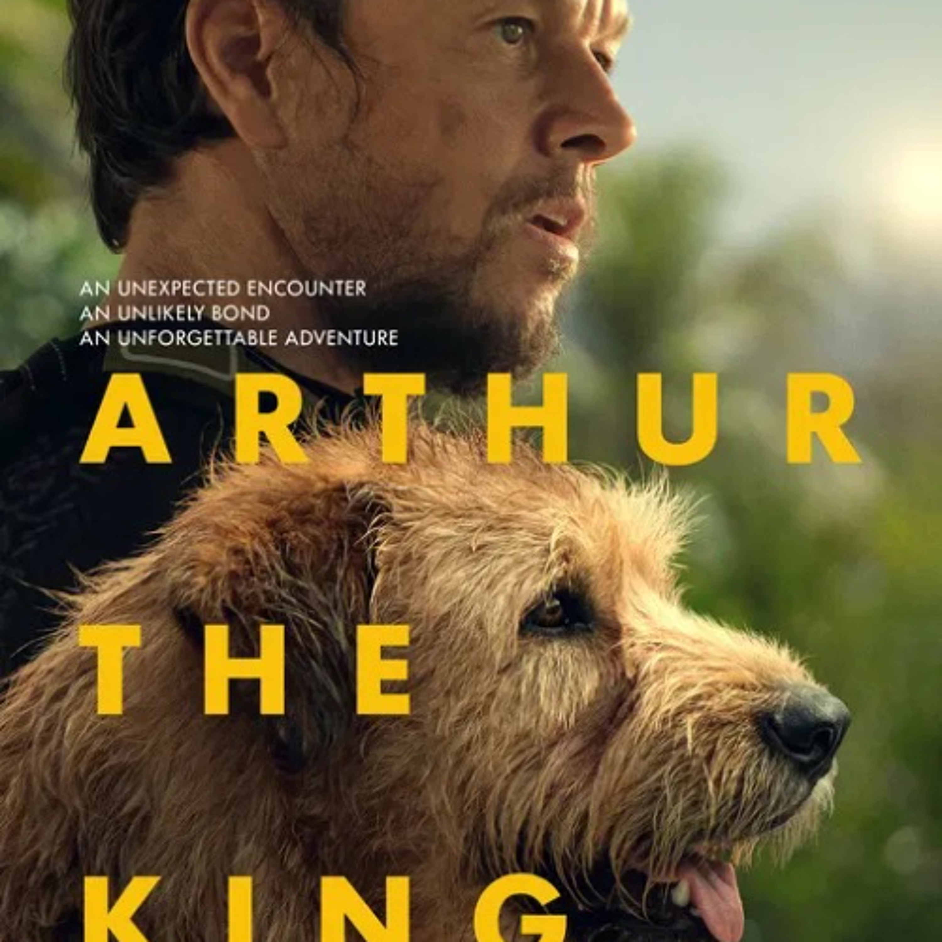 Arthur the King