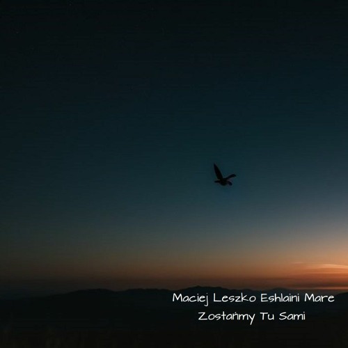 Zostańmy Tu Sami (feat. Eshlaini Mare)
