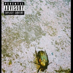 Wasabi - wnętrze. prod greyskies