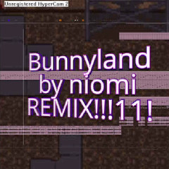Bnuyyland remix