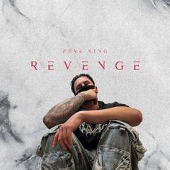 Revenge 369