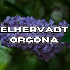 Bódi Margó - Elhervadt Orgona | TikTok remix | Techno |