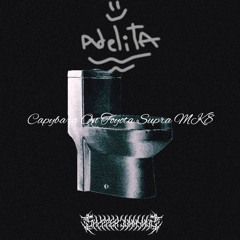 Adelita - Capybara On Toyota Supra MK8 [SC003]
