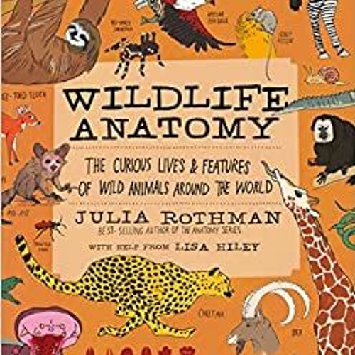 Stream Download Pdf Wildlife Anatomy: The Curious Lives & Features Of Wild  Animals Around The World By Ju by Henaemantap | Listen online for free on  SoundCloud