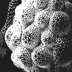 COCO PARKER ✴︎ Joker's Pub ✴︎ 112VKRM ✴︎ 25/02/25