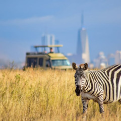 Where City Meets Savannah Explore Nairobi National Park with Us!