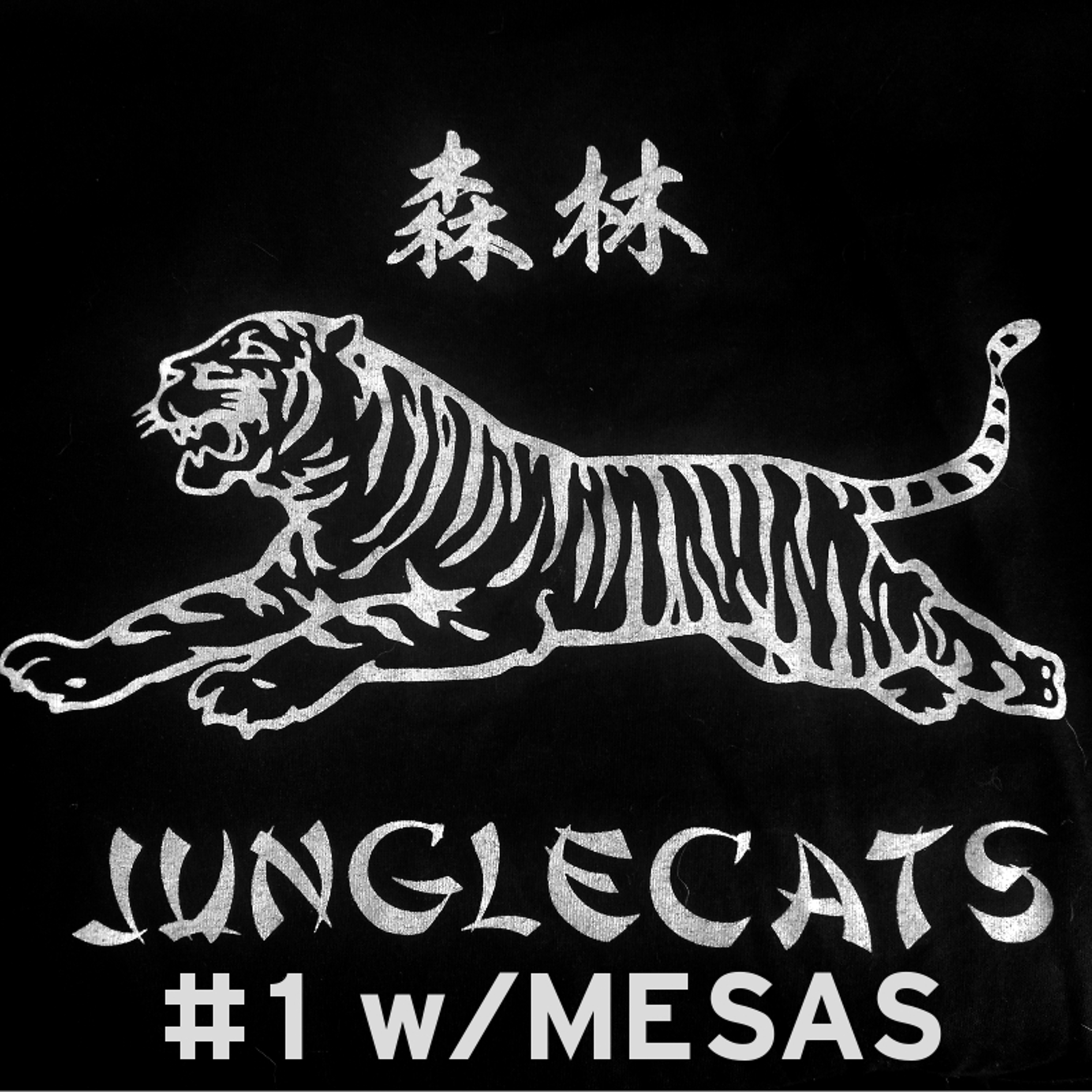Jungle Cats Podcast #1 W MESAS episode artwork