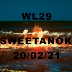 WL29 - Haters Gonna Suck My Dick (SWEETANOK prod.)